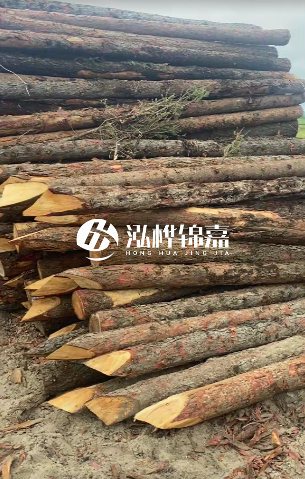 松木樁4米長尾徑14厘米價格是多少？一立方米有多少根？