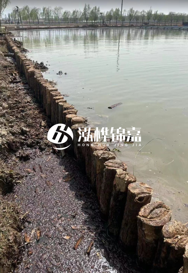 長沙松木樁批發(fā)市場在哪？廠家地址是多少？