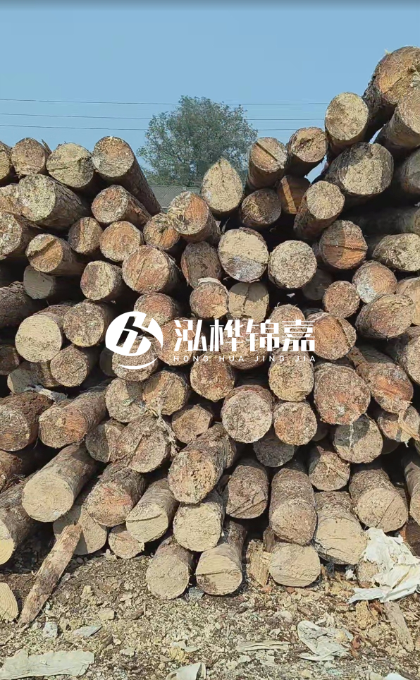 打松木樁多少錢一米 - 4 米松木樁打樁大概多少錢一根？