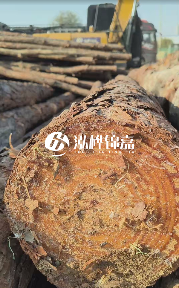 杉木樁價(jià)格多少錢一方-3米直徑14公分杉木樁價(jià)格？