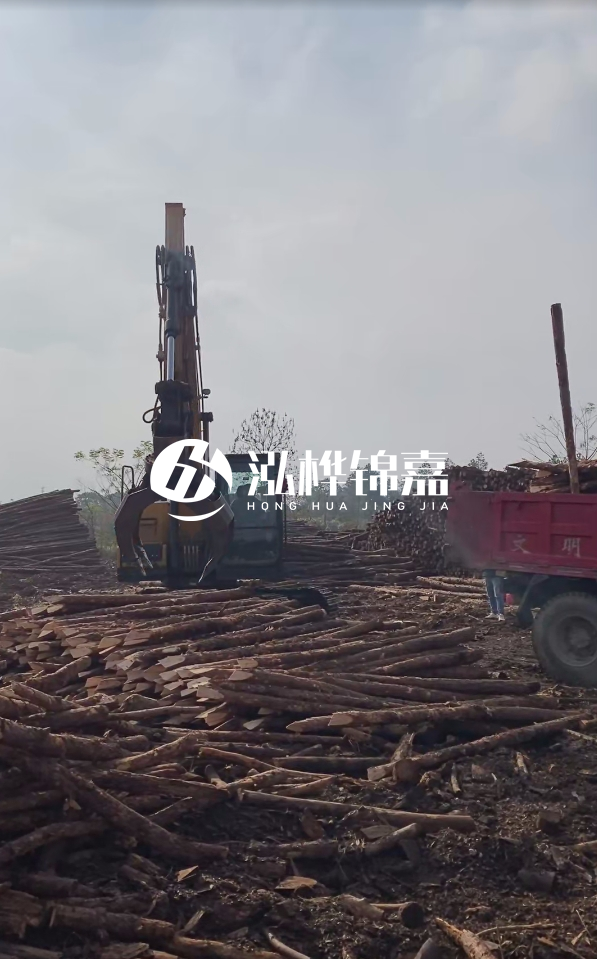 6米打樁木多少錢一根-6米10-15公分價(jià)格是多少？