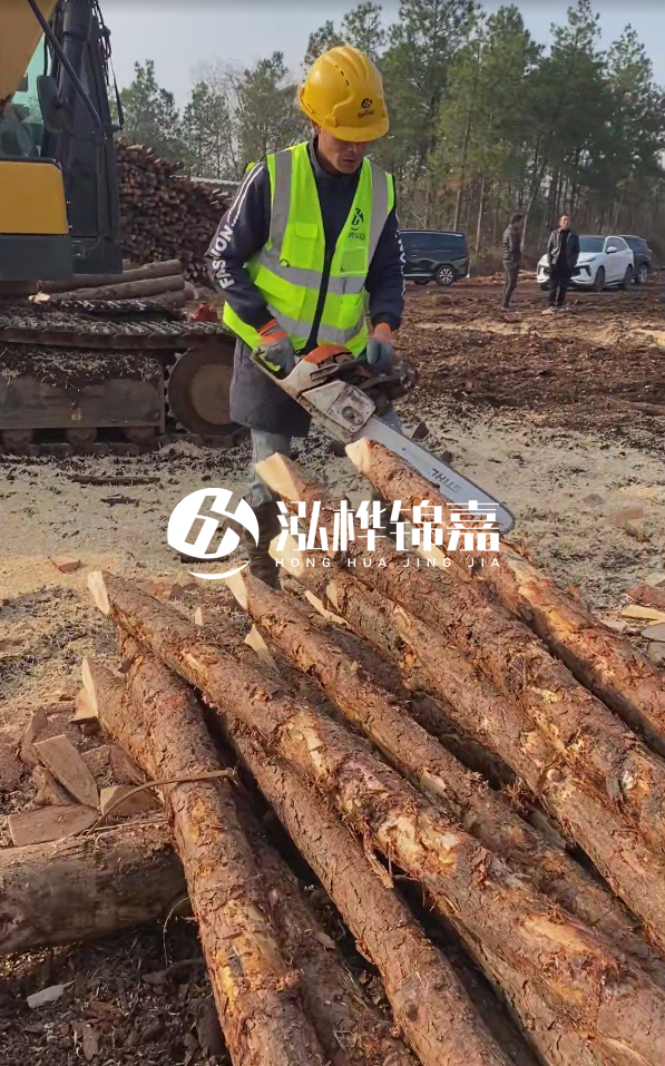 松木樁樁長1.5米稍徑12多少錢一根？樁長1.5米稍徑12大頭多少？