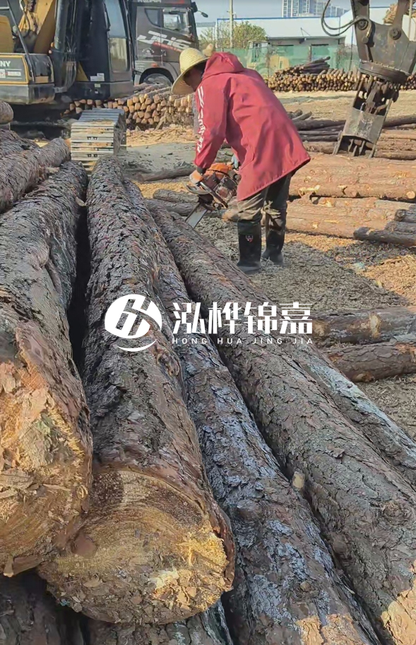 長沙打樁木批發(fā)廠家在哪里？聯(lián)系方式是什么？