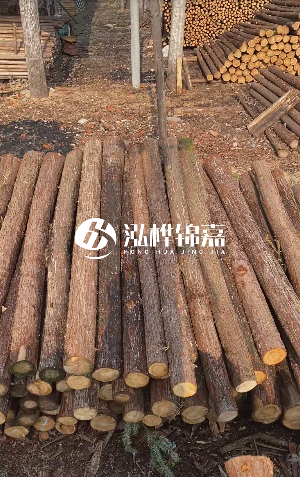 河道護(hù)坡選松木樁還是杉木樁？河道木樁一根多少錢？