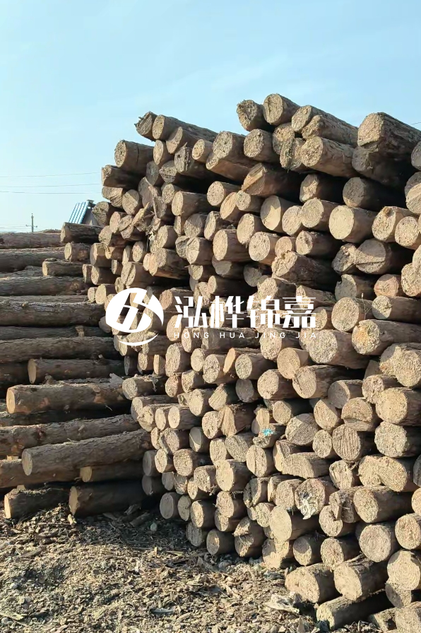 江西哪里有松木樁賣-4米12-14公分松木樁價(jià)格揭秘！