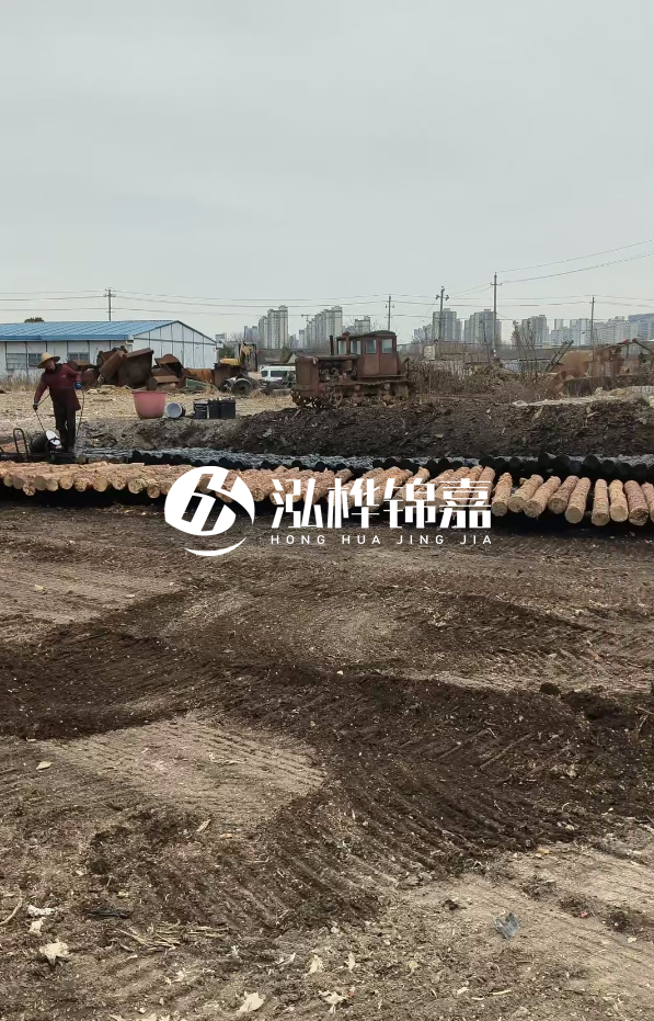 安徽打樁木材哪里買最好-5米直徑12杉木樁送到安徽多少錢？