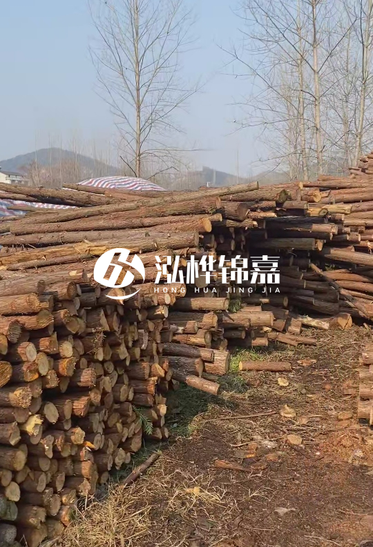 貴州打樁木材價格多少-打樁木材價格多少錢一立方？