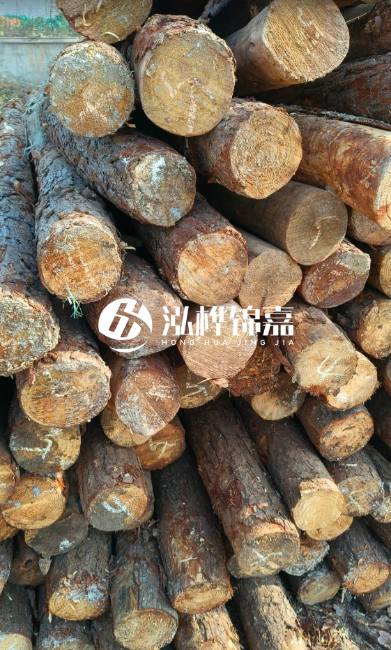 油松3米12公分多少錢一根？油松4米12公分多少錢一根？