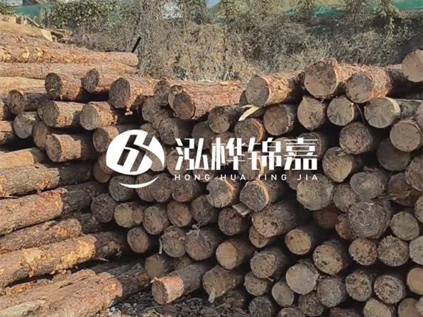 落葉松木材的主要產(chǎn)地在哪里？為什么比其他松木更耐腐蝕？