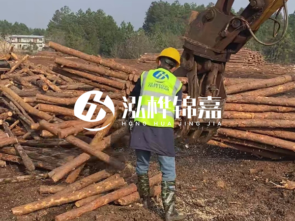 安徽松木樁選哪家-5米小頭10-12公分松木樁多少錢？