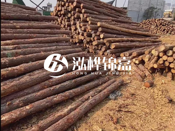 河道木樁施工遇到淤泥怎么辦？打多深才能防沖刷？