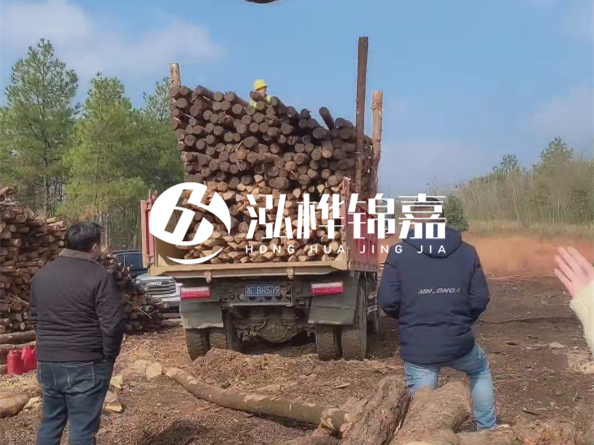 防腐木樁價格比普通木樁貴多少？防腐木樁有哪些處理方式？