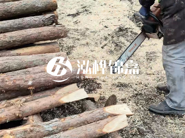 杉木樁批發(fā)廠家哪家好？產地直供渠道推薦！