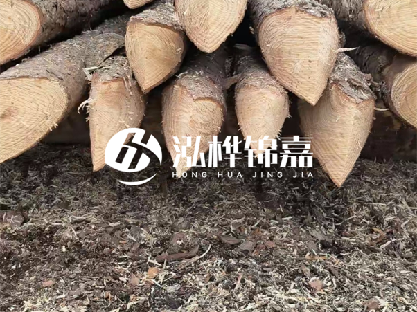 打樁木樁與鋼樁相比有哪些優(yōu)缺點？如何進行后期維護？