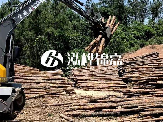 3米松木樁小頭10公分多少錢一根？大頭10公分又是多少錢？