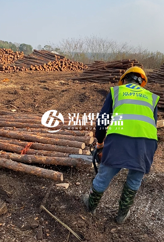 廣東松木樁3米生產(chǎn)廠家-3米直徑12松木樁多少錢？