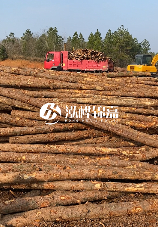 8米小頭11-13CM的松木樁價(jià)格是多少？打樁施工怎么算？