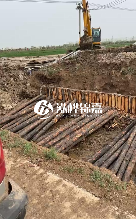 4米直徑12-13油松批發(fā)價(jià)最低多少？報(bào)價(jià)含稅含運(yùn)嗎？