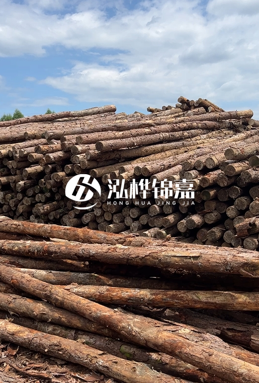 松木打樁木的價(jià)格波動(dòng)受哪些因素影響？杉木樁能代替松木樁嗎？