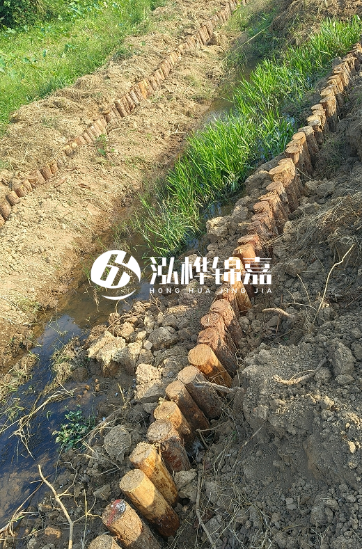 湖南松木樁批發(fā)廠家直銷-松木樁做碳化多少錢一根？