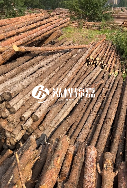 松木樁頭徑120尾徑多少？尾徑和松木樁長(zhǎng)度有關(guān)系嗎？