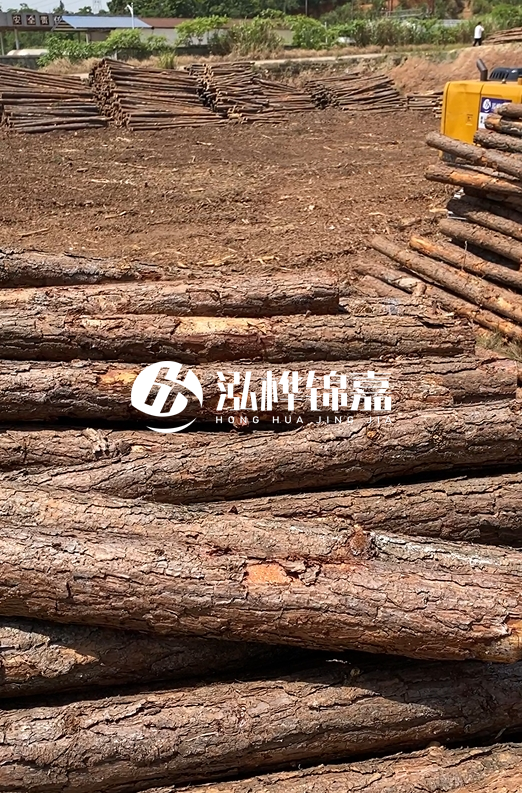 陜西河道木樁源頭廠家泓樺錦嘉-3米大頭11-13厘米多少錢一根？