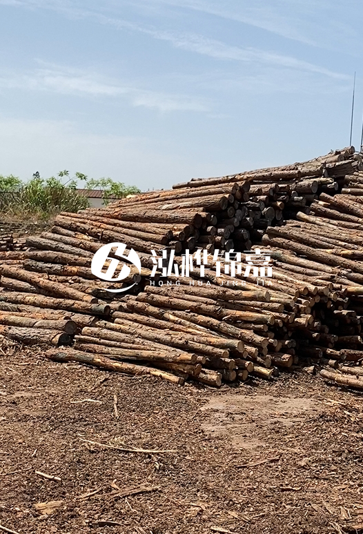 3.5米松木樁單價(jià)含稅怎么計(jì)算？碳化處理成本增加多少？