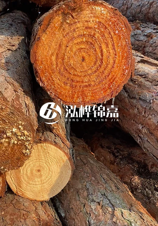 江西河道打樁木廠家泓樺錦嘉-河道打樁木如何避免中間商？