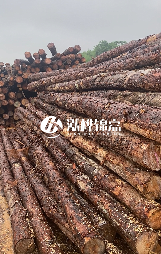 購(gòu)買松木樁注意事項(xiàng)有哪些-不同直徑松木樁區(qū)別有哪些？