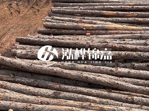 4.5 米松木樁多少錢一根？含稅價和不含稅價相差多少？