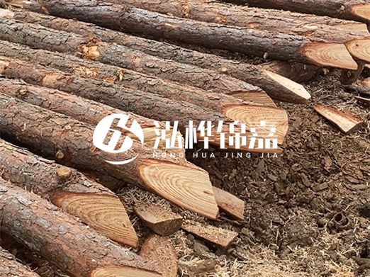 松木樁削尖的費用怎么算？按根收費還是包含在單價里？