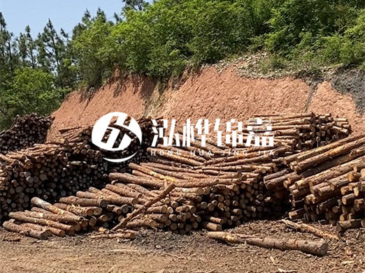 油松打樁木和落葉松打樁木的價格差異是多少？哪個性價比更高？