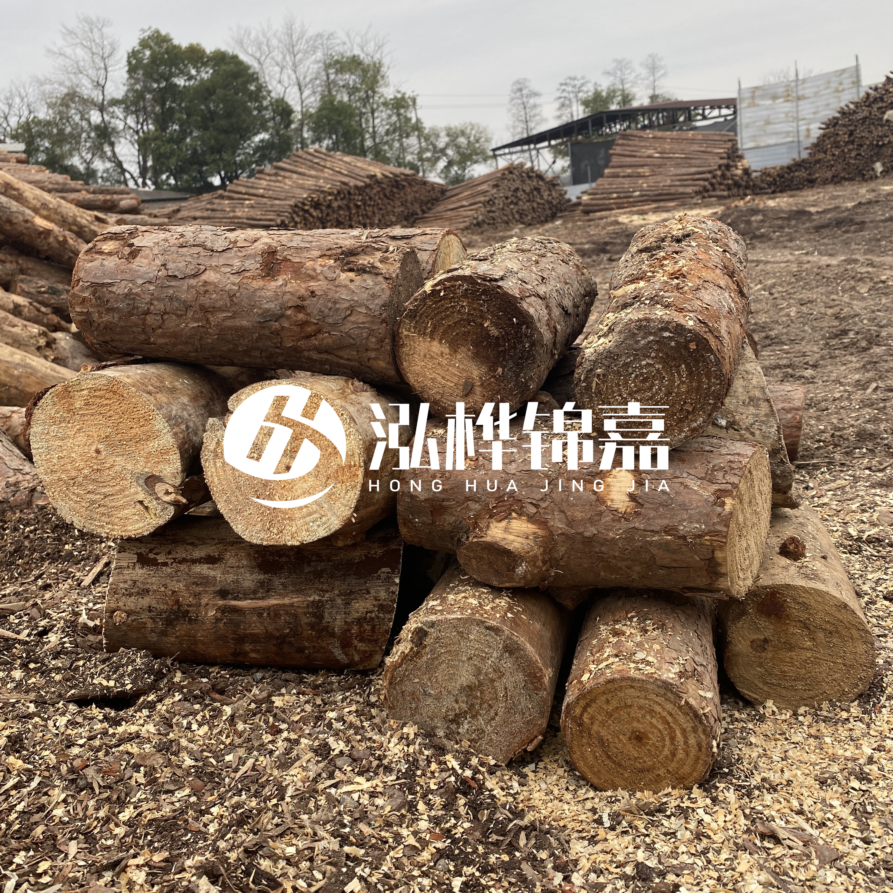 打樁木邊角料能做什么用途？怎么賣的？