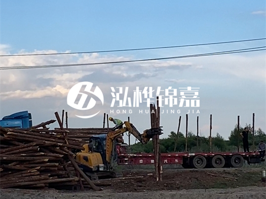 河北打樁木源頭廠家泓樺錦嘉 - 北方常用打樁木是什么？