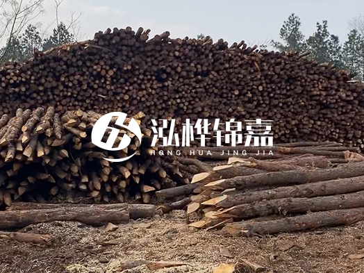 地基打木樁用什么木材 - 地基打木樁的能撐幾年？