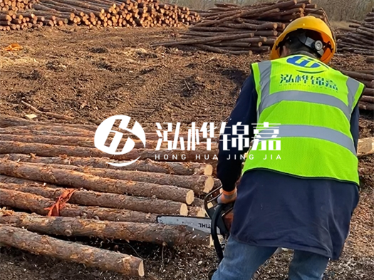 哪些木樁廠家能提供快速定制服務(wù)？哪些木樁廠家在國內(nèi)有多個(gè)生產(chǎn)基地？