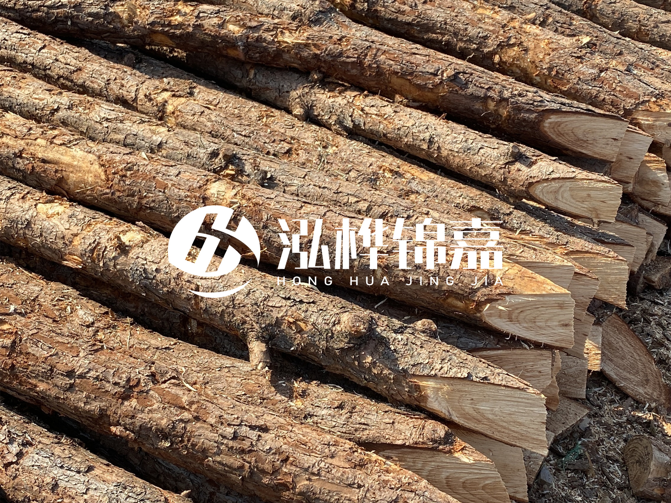 8 米超大直徑松木樁的價(jià)格是多少？帶皮和去皮松木樁價(jià)格差多少？