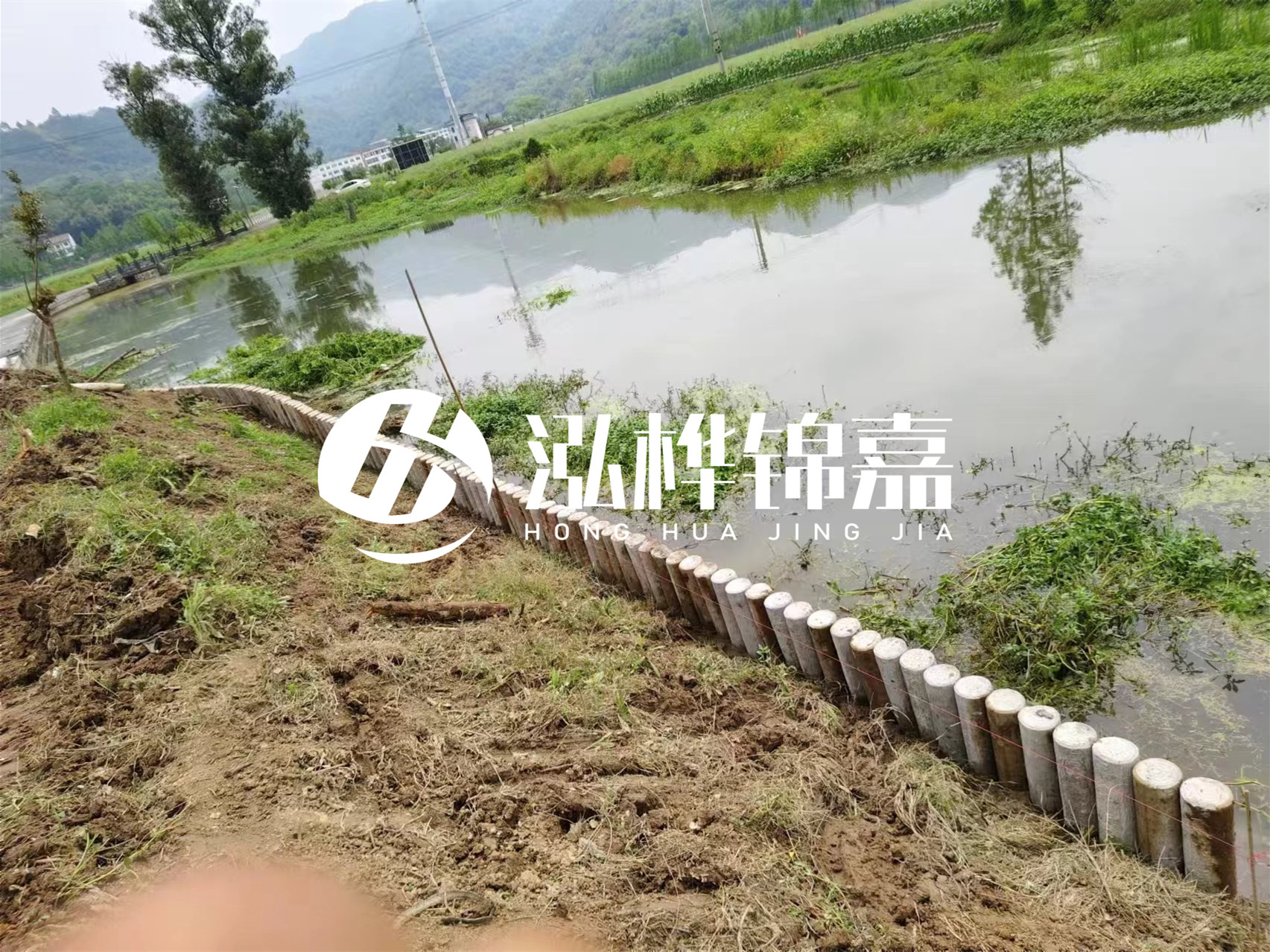 松木樁加固河道與水泥樁對(duì)比如何？哪一種更加適合您？