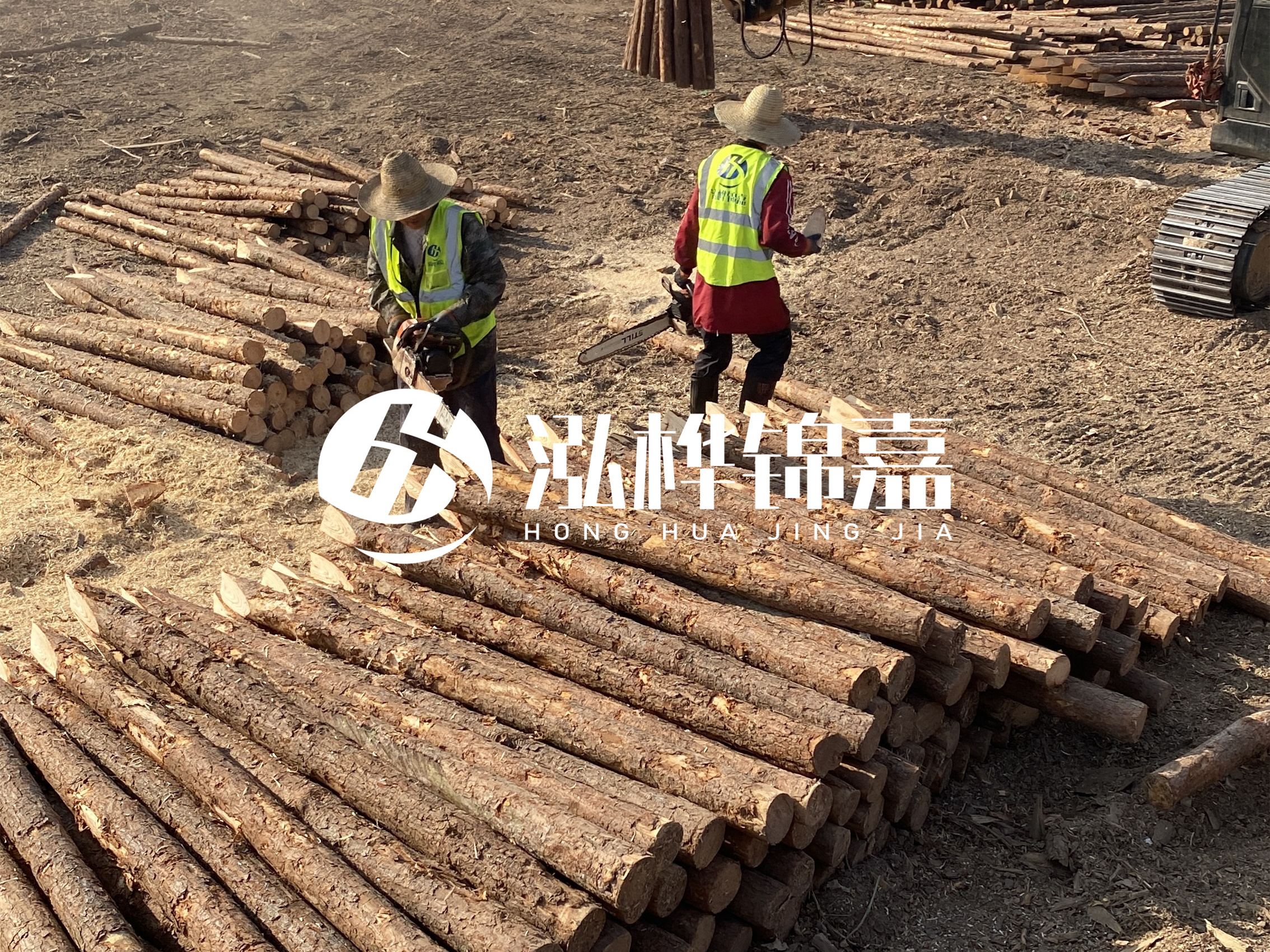 河道木樁報(bào)價(jià)在汛期前后會(huì)有波動(dòng)嗎？什么時(shí)候買最便宜？