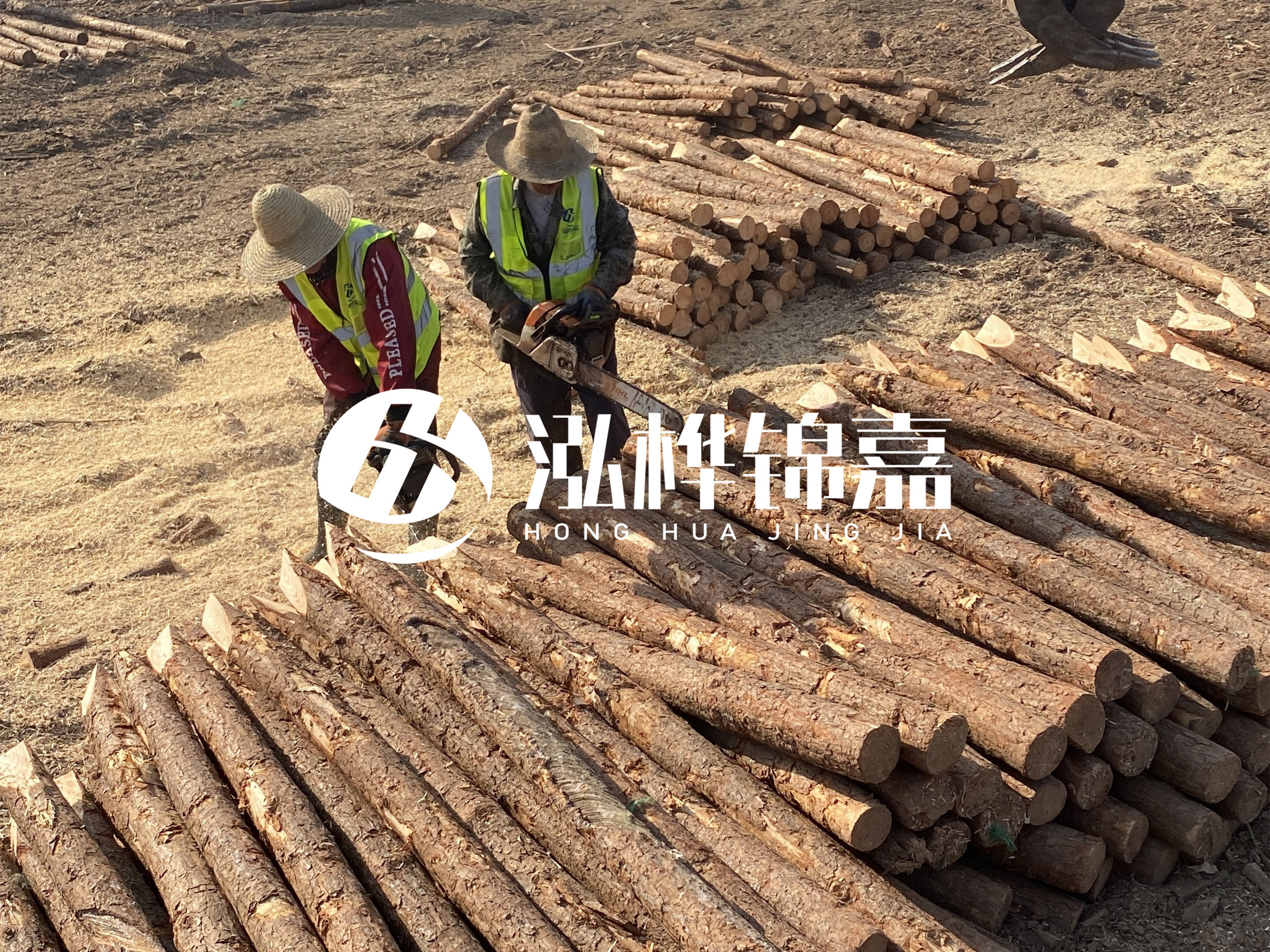 河北打樁木廠家主要生產(chǎn)哪些材質(zhì)的打樁木？產(chǎn)品有哪些規(guī)格？