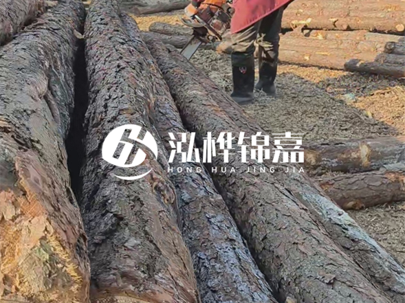 河南松木樁生產(chǎn)企業(yè)聯(lián)系方式？老客戶采購松木樁能打折嗎？