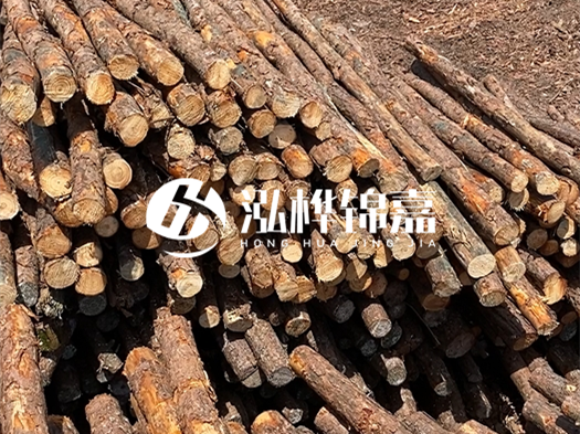 江西有哪些松木樁生產廠家？松木樁廠在什么位置？