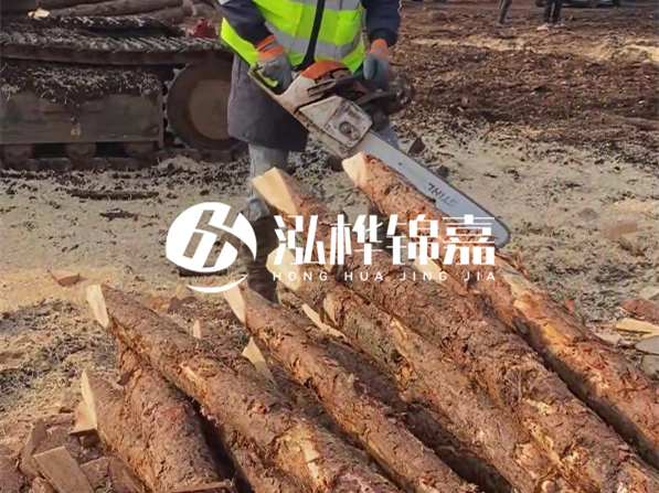 松木樁河道護坡怎么施工？打樁多少錢一根？
