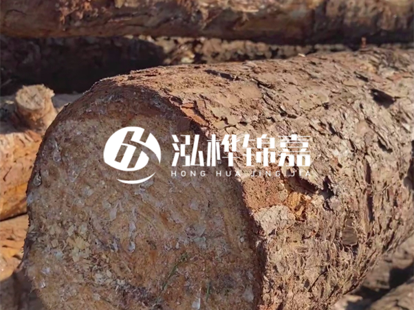 松木樁如何做到千年不腐的？松木樁打地基耐用年限揭秘