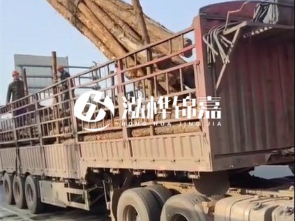 4米長杉木10公分價格-4.5米直徑15cm 杉木多少錢？