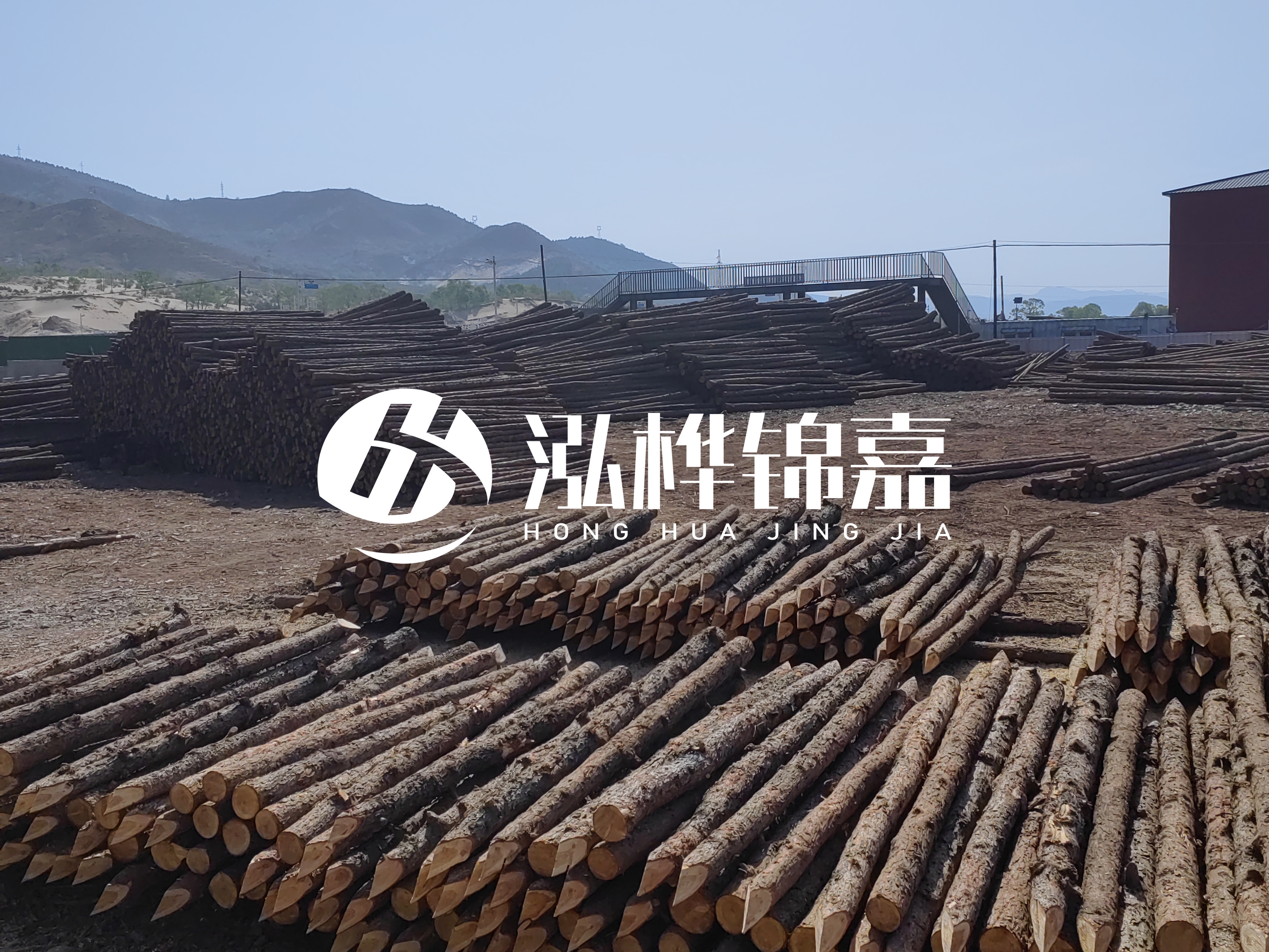 江蘇打樁木源頭廠家泓樺錦嘉-4米打樁木大頭14-16小頭一般多少？