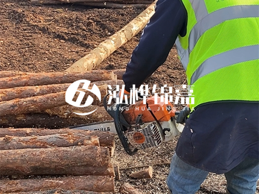 河道打木樁多少錢一根？5米直徑10松木樁打樁多少錢？