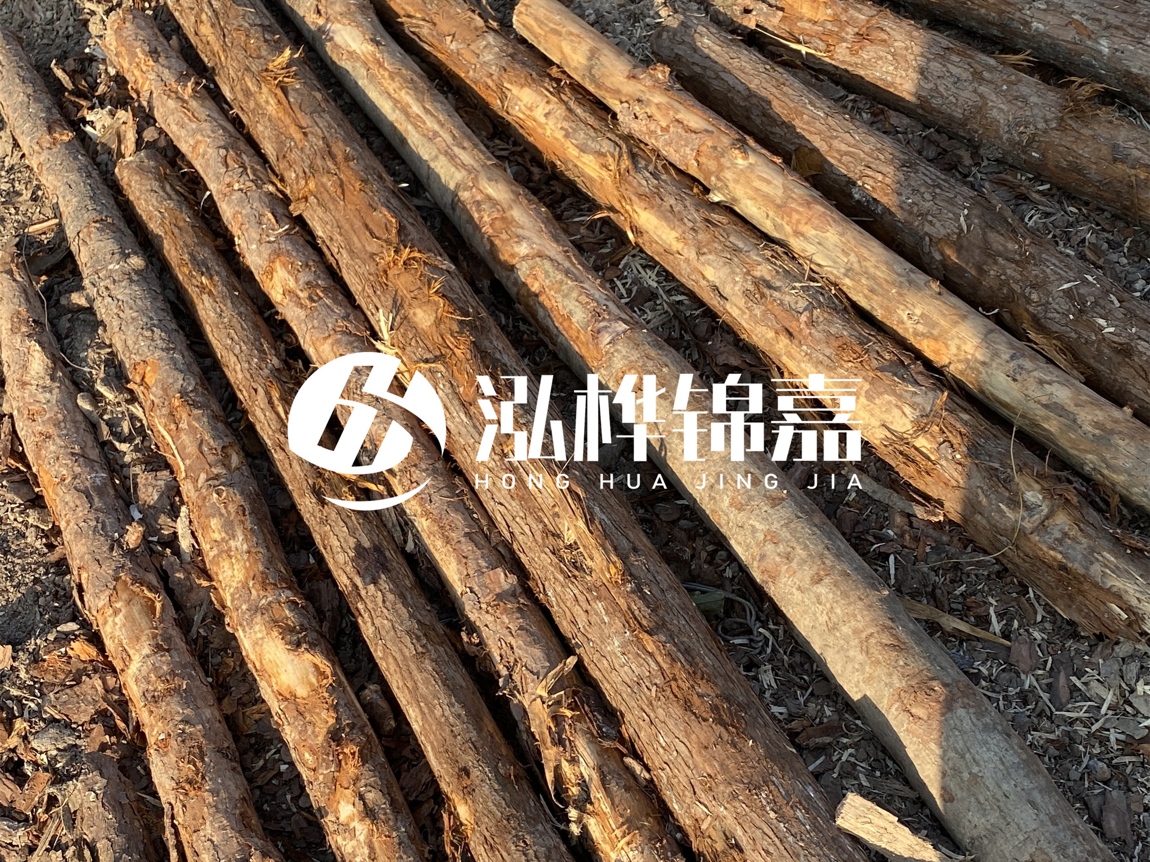 河道木樁多少錢一根？河道木樁的使用以及保養(yǎng)方法?