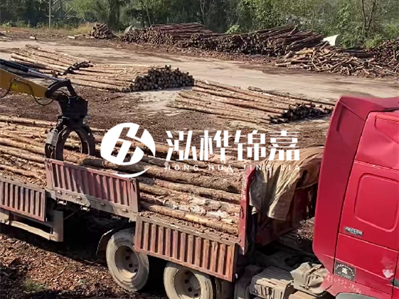 四川松木樁廠家泓樺錦嘉-哪一種打樁木最便宜？