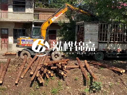 怎么把松木樁打到土里？松木樁要打進去多深？